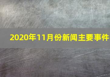 2020年11月份新闻主要事件