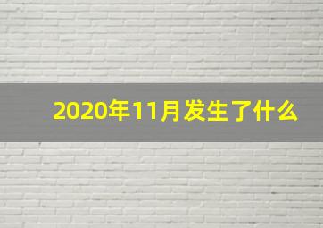 2020年11月发生了什么