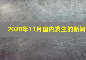 2020年11月国内发生的新闻