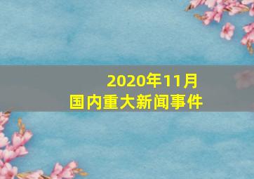 2020年11月国内重大新闻事件