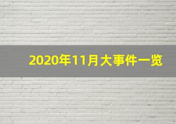 2020年11月大事件一览