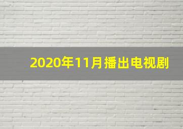 2020年11月播出电视剧