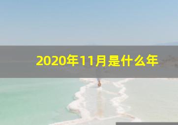 2020年11月是什么年