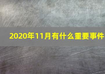 2020年11月有什么重要事件