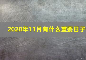 2020年11月有什么重要日子