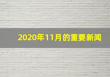 2020年11月的重要新闻