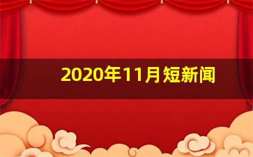 2020年11月短新闻