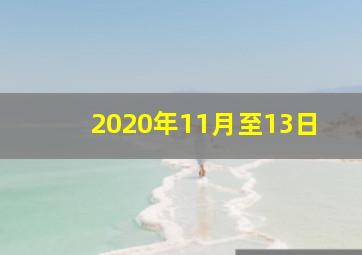 2020年11月至13日