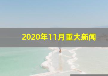 2020年11月重大新闻