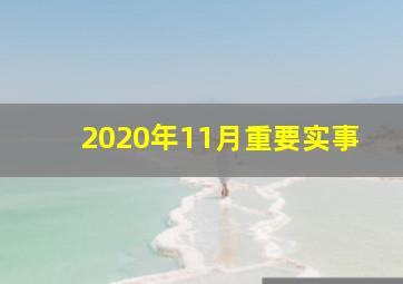 2020年11月重要实事