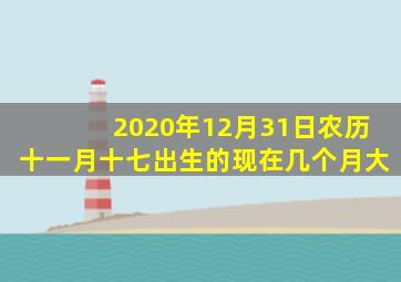 2020年12月31日农历十一月十七出生的现在几个月大