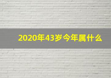 2020年43岁今年属什么