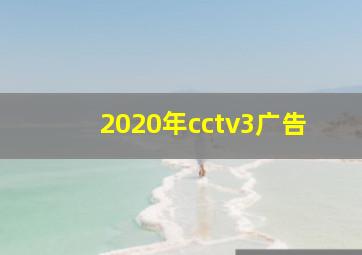 2020年cctv3广告