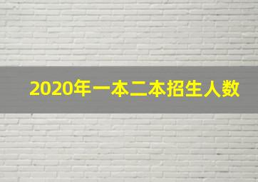 2020年一本二本招生人数