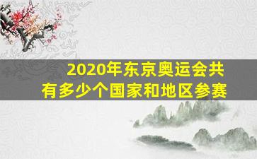 2020年东京奥运会共有多少个国家和地区参赛