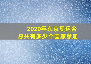 2020年东京奥运会总共有多少个国家参加