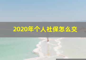 2020年个人社保怎么交