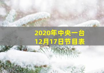 2020年中央一台12月17日节目表