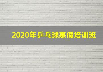 2020年乒乓球寒假培训班