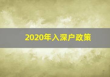 2020年入深户政策