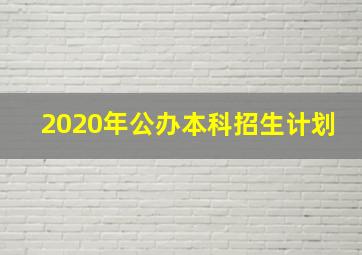 2020年公办本科招生计划