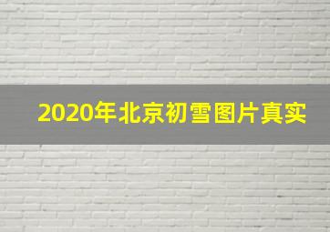 2020年北京初雪图片真实