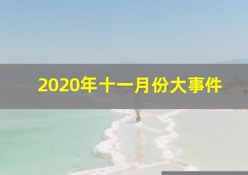 2020年十一月份大事件