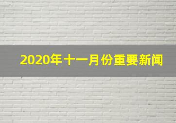 2020年十一月份重要新闻