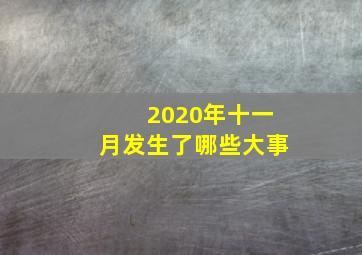 2020年十一月发生了哪些大事