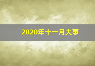 2020年十一月大事