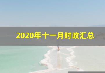 2020年十一月时政汇总