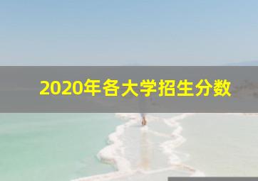 2020年各大学招生分数