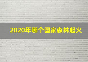 2020年哪个国家森林起火