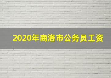 2020年商洛市公务员工资