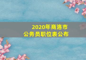 2020年商洛市公务员职位表公布