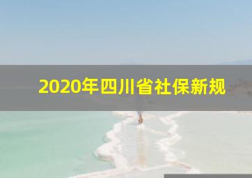 2020年四川省社保新规