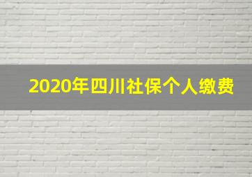 2020年四川社保个人缴费