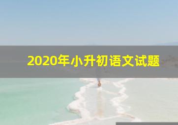 2020年小升初语文试题