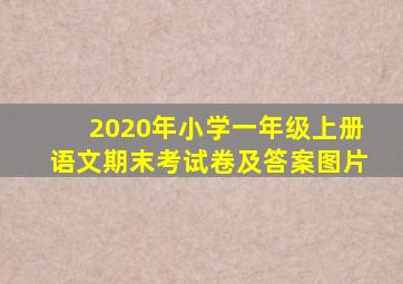 2020年小学一年级上册语文期末考试卷及答案图片