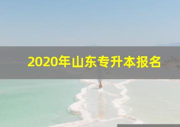 2020年山东专升本报名