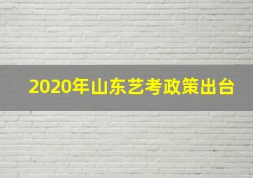 2020年山东艺考政策出台