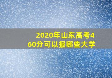 2020年山东高考460分可以报哪些大学