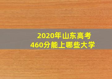 2020年山东高考460分能上哪些大学