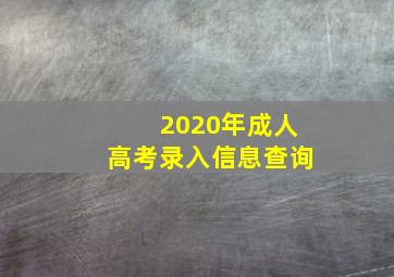 2020年成人高考录入信息查询