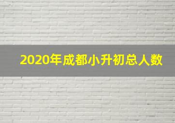 2020年成都小升初总人数