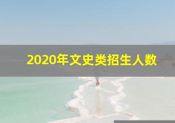 2020年文史类招生人数