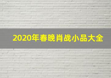 2020年春晚肖战小品大全