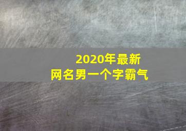 2020年最新网名男一个字霸气