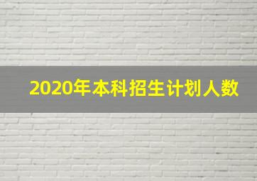 2020年本科招生计划人数