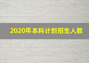 2020年本科计划招生人数